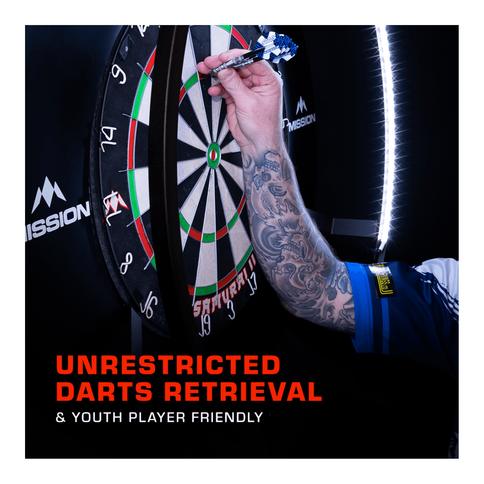 dartsonlinecomau Samurai 4 Dartboard, Surround & Torus 100 Light Bundle product